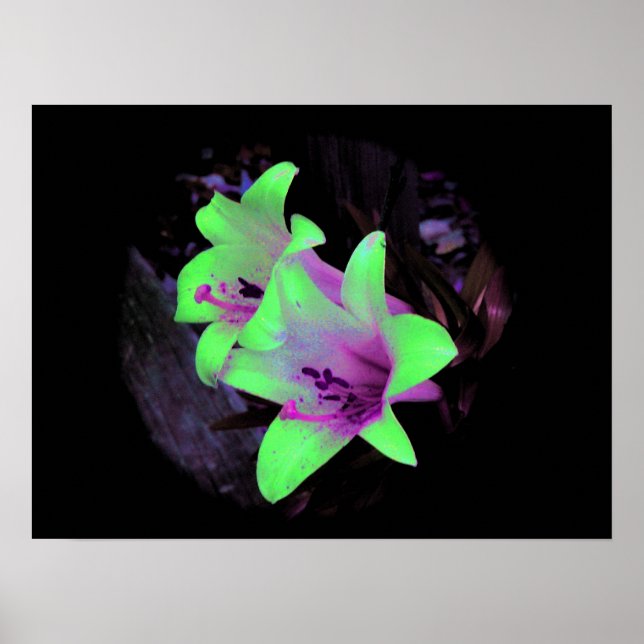 Neon Lilies Foto Poster / Print (Vorne)