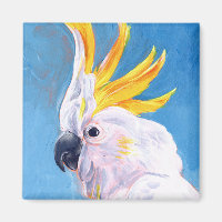 Neon Mohawk - Cockatoo