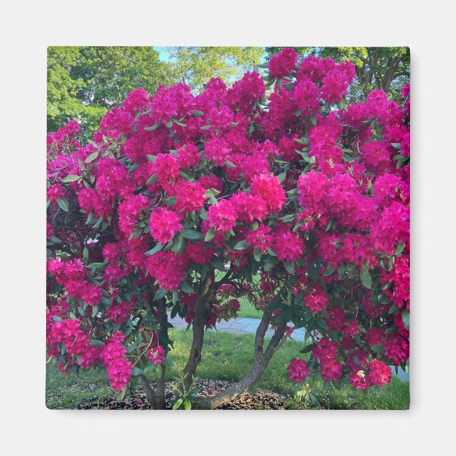 Neon Nature Magnet (Vorne)
