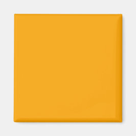 Neon Orange Solid Color | Classic Magnet