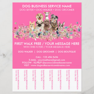Neon Pink Breeds Hundeschwalker Service Flyer
