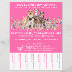 Neon-Pink-Breeds-Hundespaziergang-Service- Flyer