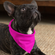 Neon Pink Solid Color Anpassen