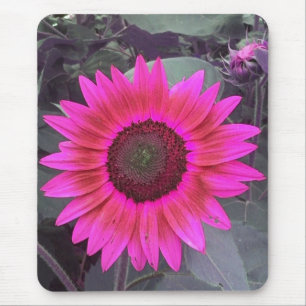 Neon Pink Sunflower Mousepad