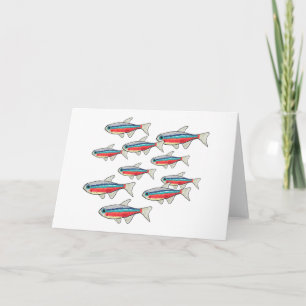 Neon Tetra Karte