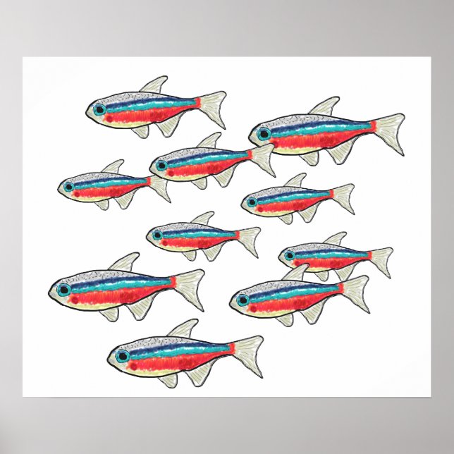 Neon Tetra Poster (Vorne)