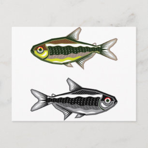 Neon Tetra Postkarte