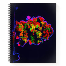 Neon Tree Explosion