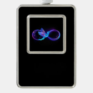 Neon-Unendlichkeitssymbol mit leuchtendem Kolibri Rahmen-Ornament Silber