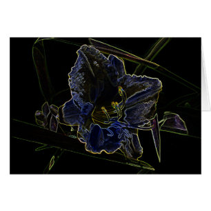 Neonglühen-Taglilie-Blume