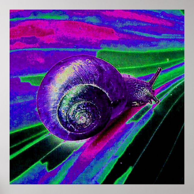 Neonschnecke Poster (Vorne)