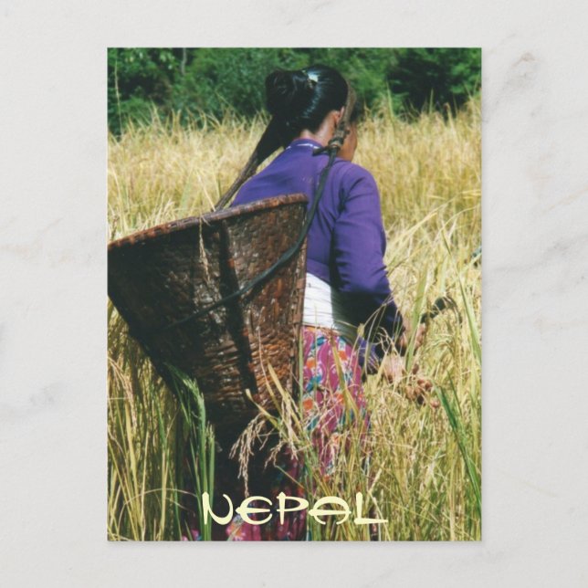 Nepal-Grußkarte Postkarte (Vorderseite)