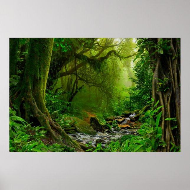 Nepal jungle with riverjungle,forest,ground,river, poster (Vorne)