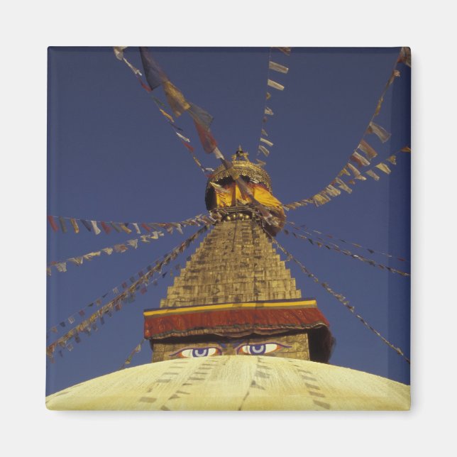 Nepal, Kathmandu. unter Gebetsfahnen, wachsam Magnet (Vorne)