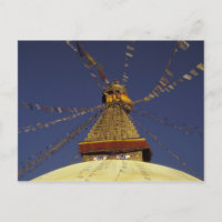 Nepal, Kathmandu. Unter Gebetsfahnen, wachsam