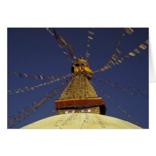 Nepal, Kathmandu. Unter Gebetsflaggen, wachsam