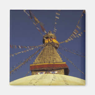 Nepal, Kathmandu. Unter Gebetsflaggen, wachsam Magnet