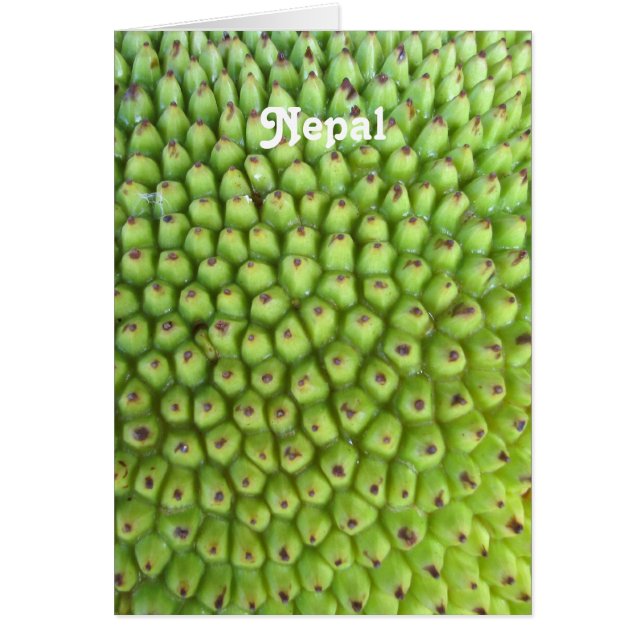 Nepalesischer Jackfruit (Vorne)