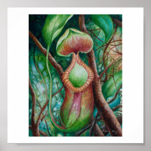 Nepenthes Marcophylla Aquarell-Kunst-Plakat Poster