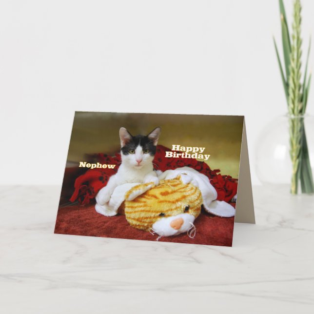 Nephew Happy Birthday Kitten mit Toy Tiger Karte (Vorderseite)