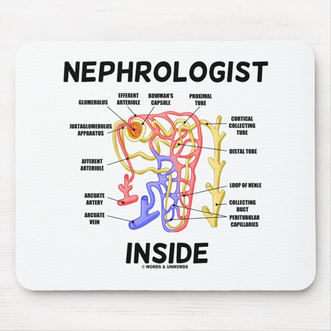 Nephrologe Inside Kidney Nephron Mousepad (Vorne)