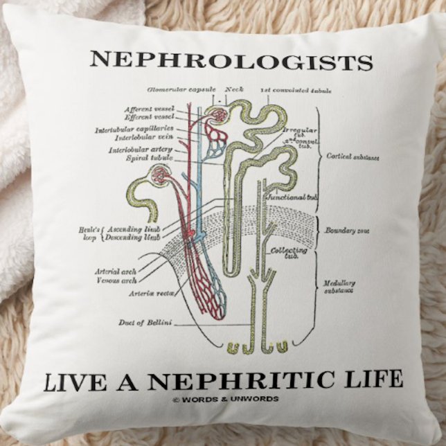 Nephrologen leben ein nephritisches Leben. Kissen (Throw pillow featuring a kidney's nephron and cheeky medical saying for any nephrologist)