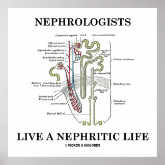 Nephrologen leben ein nephritisches Leben. Poster