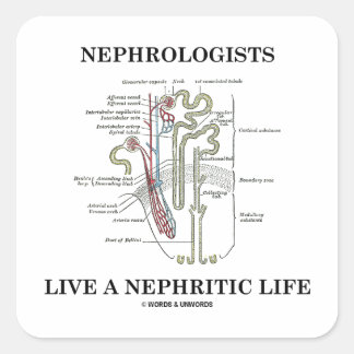 Nephrologen leben ein nephritisches Leben. Quadratischer Aufkleber
