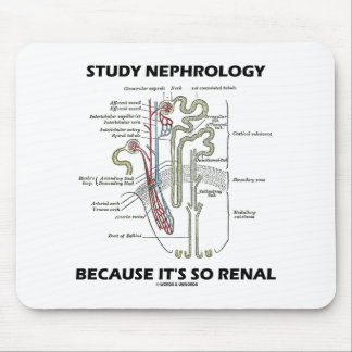 Nephrologie studieren, weil es so ein Nieren-Nephr Mousepad