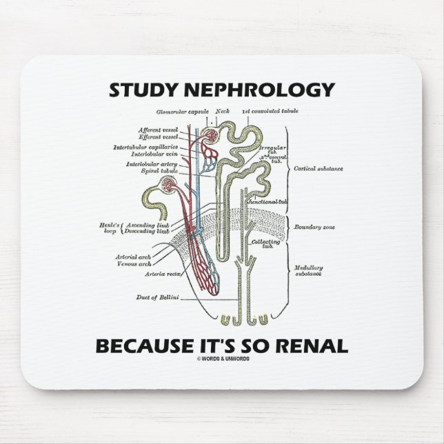 Nephrologie studieren, weil es so ein Nieren-Nephr Mousepad (Vorne)