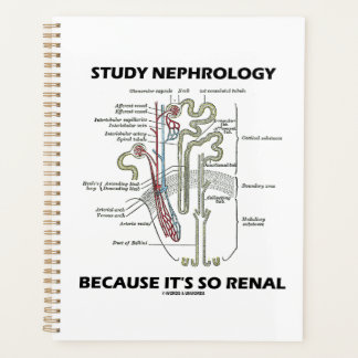 Nephrologie studieren, weil es so ein Nieren-Nephr Planer