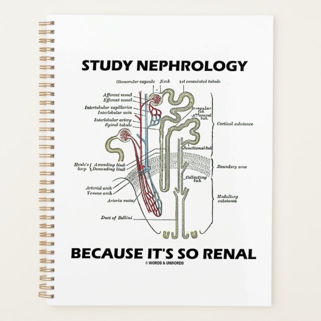 Nephrologie studieren, weil es so ein Nieren-Nephr Planer (Vorderseite)