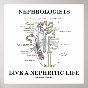 Nephrologists Live A Nephritic Life (Nephron) Poster