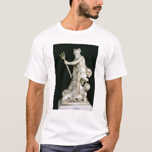 Neptun, der die Wellen, 1757 beruhigt T-Shirt