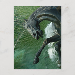 Neptun Fountain, Washington DC Postkarte