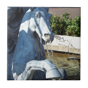 Neptun's Pferd, Plaza Fountain Detail Fliese