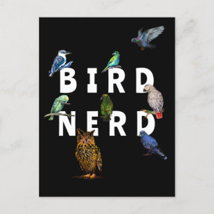 NERD, Papageien, Eule, Tauben, Kookaburra Postkarte