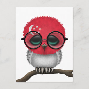 Nerdy Singapore Baby Owl Chic Postkarte