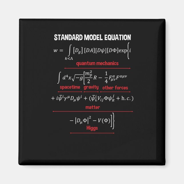 Nerdy Standard Model Equation - Geschenk für Physi Magnet (Vorne)