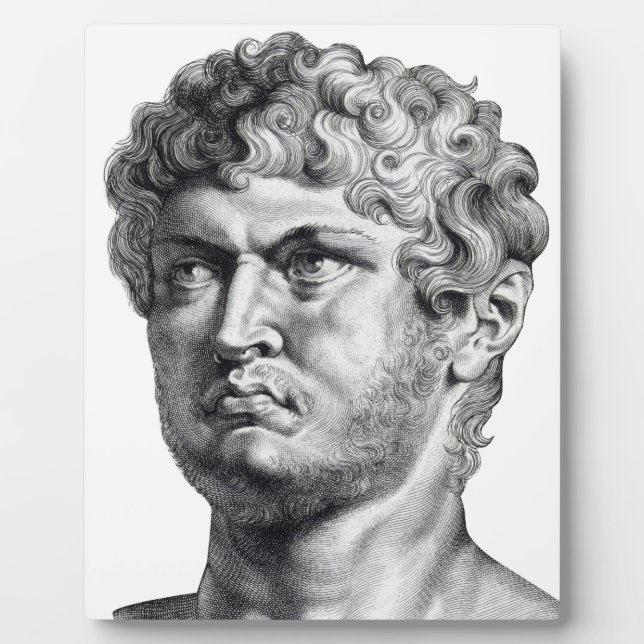 Nero Fotoplatte (Vorderseite)