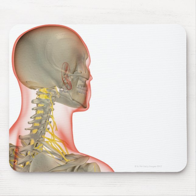 Nerven des Hals 2 Mousepad (Vorne)