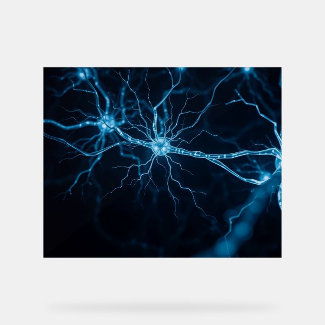 Nervensystem Acrylschild (Vorderseite)