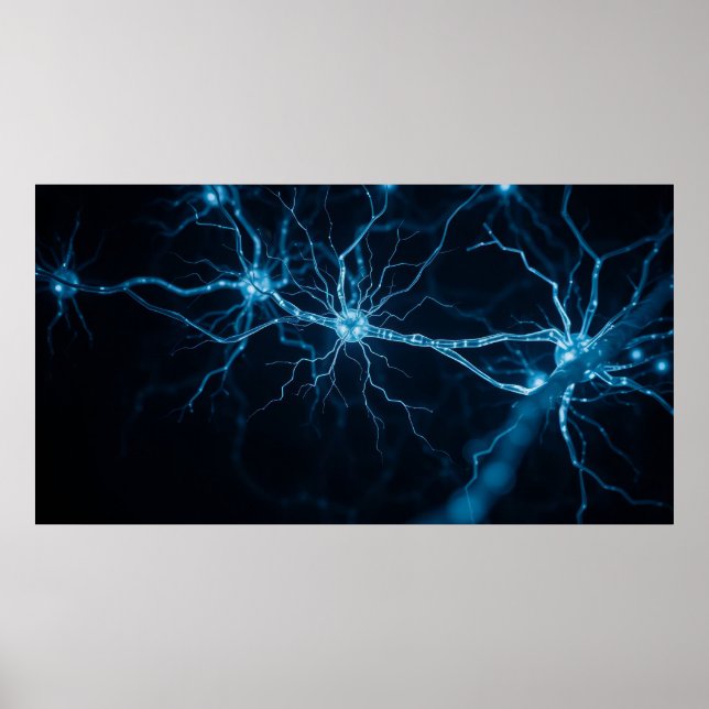 Nervensystem Poster (Vorne)