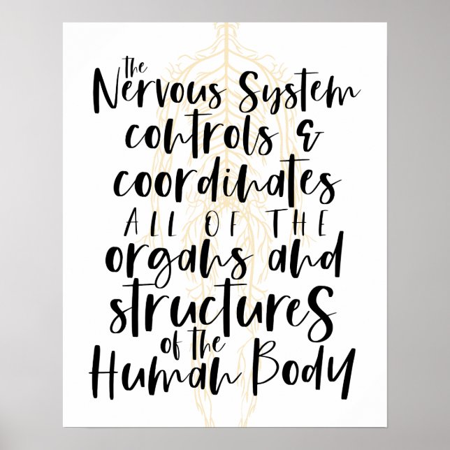 Nervensystem Poster, Chiropraktik Poster, Chiro  Poster (Vorne)