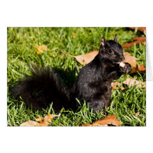 Nervöser kleiner Typ