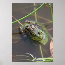 Nerzfrosch Poster