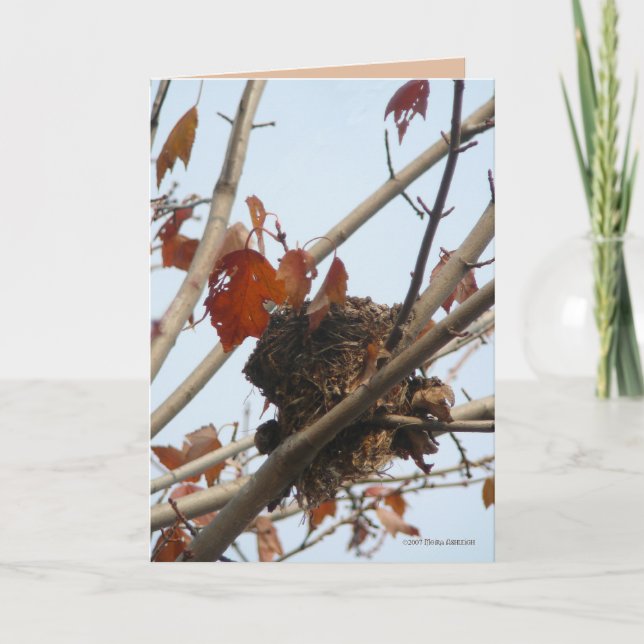 Nest enthüllt karte (Vorderseite)