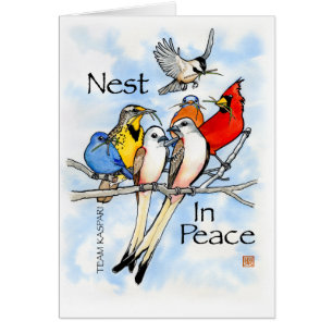Nest im Frieden: Team Kaspari