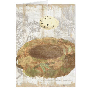 Nest mit gesprenkeltem Ei