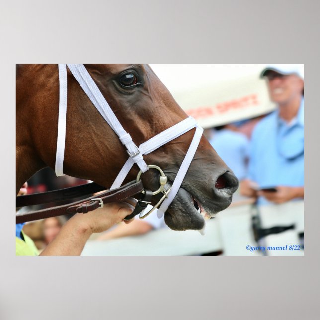 Nest - Sieger Poster (Vorne)